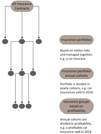 Grouping the insurance contracts